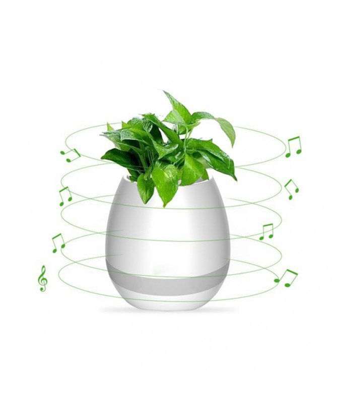 PARLANTE-BLUETOOTH-SPEAKER-SONIDO-360-TIPO-PLANTA-REVOLUCION