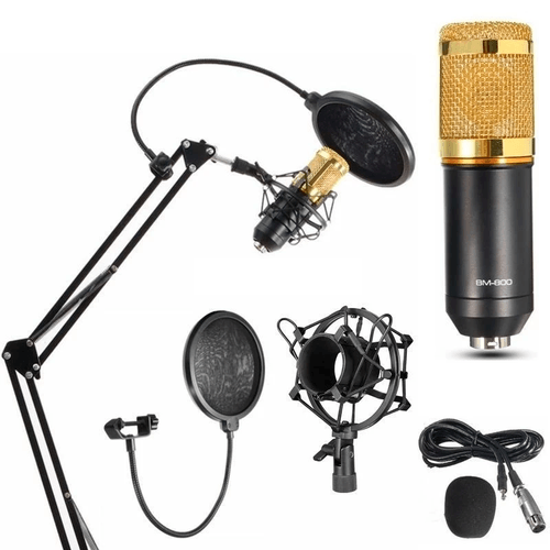 Kit Doble 2 Micrófonos Inalámbricos Y Receptor Audio Karaoke - Impormel