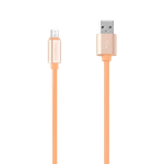 1BSM1079