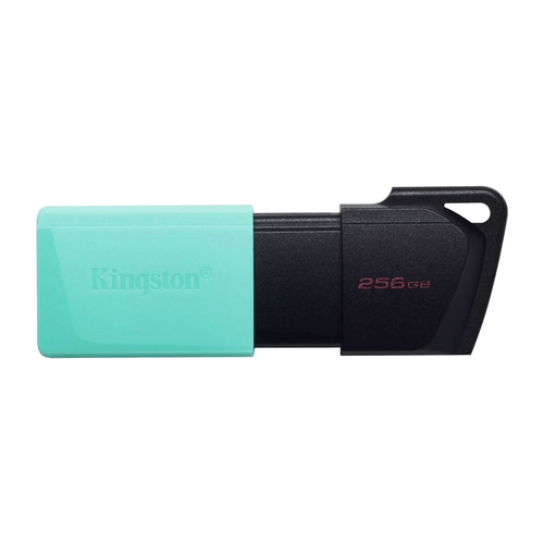 Pen drive Kingston 256gb