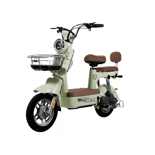 Motocicleta Eléctrica 500W