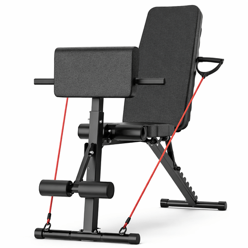 Banco de Abdominales ENV Core & Cardio